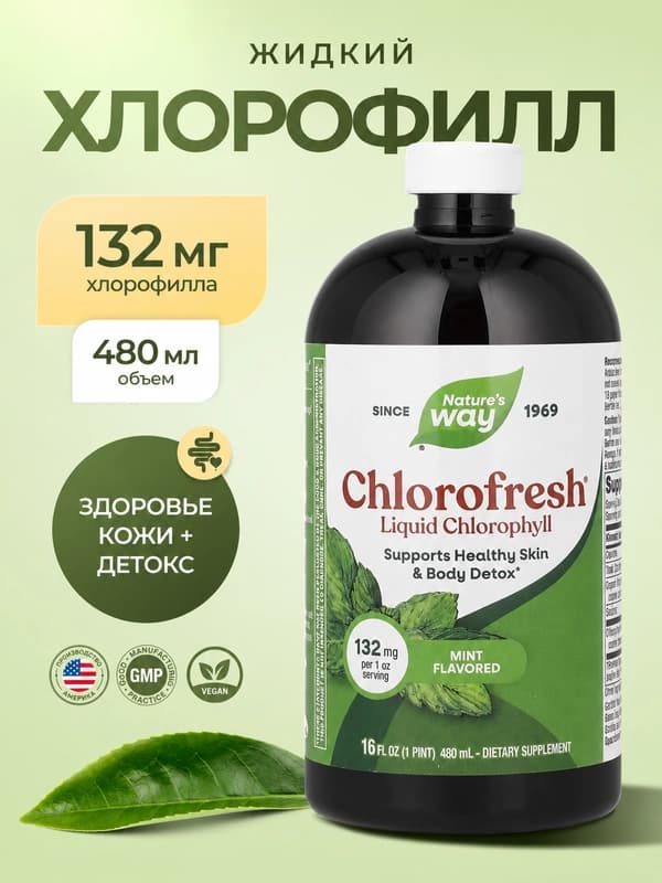 Nature's Way, Chlorofresh жидкий хлорофилл со вкусом мяты, 473 мл